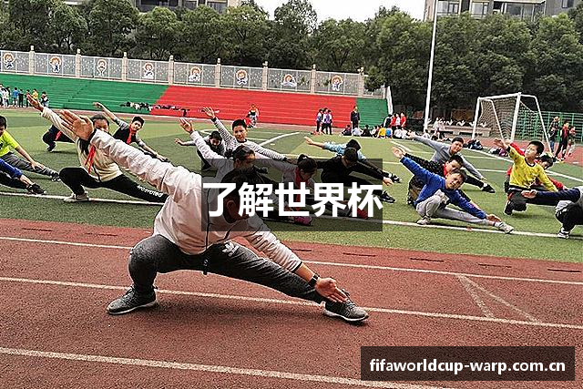 了解世界杯